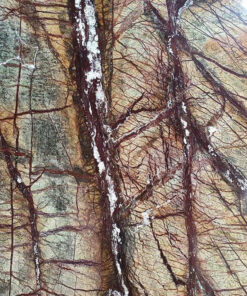 Đá Marble nâu rừng mưa (Rainforest Brown)