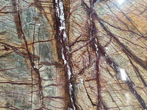Đá Marble nâu rừng mưa (Rainforest Brown)